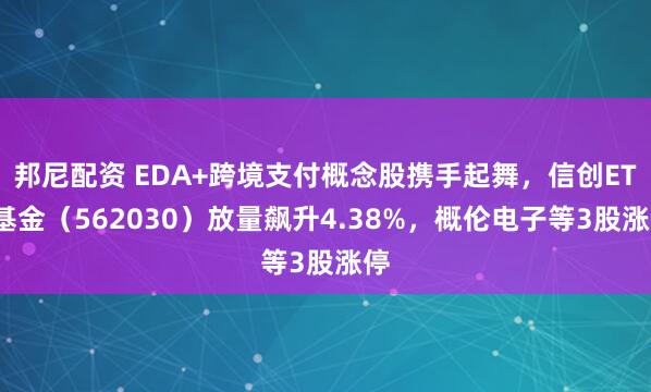 邦尼配资 EDA+跨境支付概念股携手起舞，信创ETF基金（562030）放量飙升4.38%，概伦电子等3股涨停