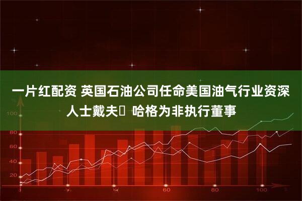 一片红配资 英国石油公司任命美国油气行业资深人士戴夫・哈格为非执行董事