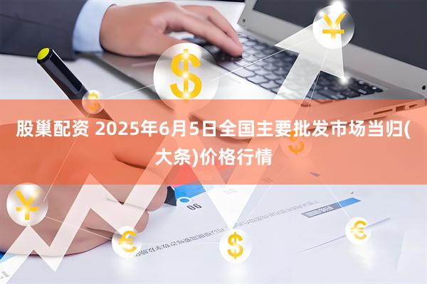 股巢配资 2025年6月5日全国主要批发市场当归(大条)价格行情