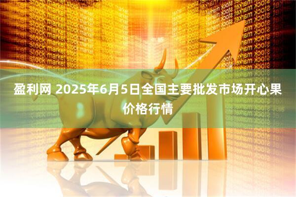 盈利网 2025年6月5日全国主要批发市场开心果价格行情