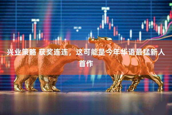 兴业策略 获奖连连，这可能是今年华语最猛新人首作