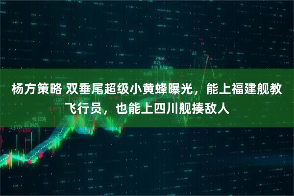 杨方策略 双垂尾超级小黄蜂曝光,能上福建舰教飞行员,也能上四川舰揍敌人