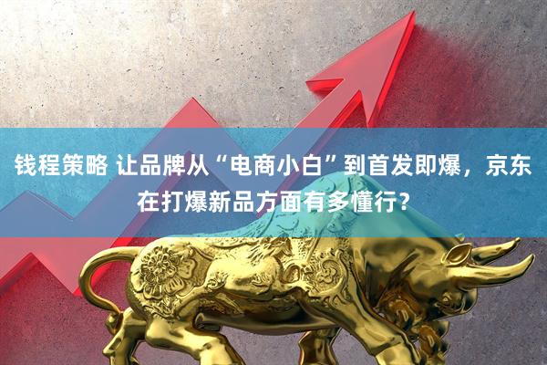 钱程策略 让品牌从“电商小白”到首发即爆，京东在打爆新品方面有多懂行？