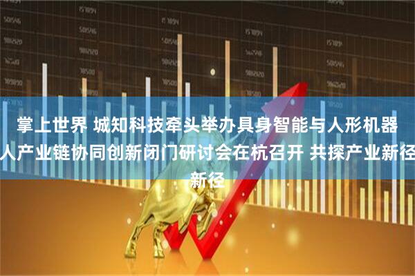掌上世界 城知科技牵头举办具身智能与人形机器人产业链协同创新闭门研讨会在杭召开 共探产业新径