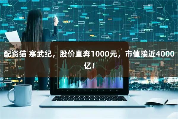 配资猫 寒武纪，股价直奔1000元，市值接近4000亿！