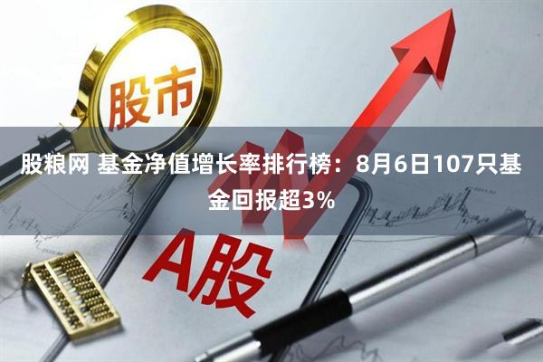 股粮网 基金净值增长率排行榜：8月6日107只基金回报超3%
