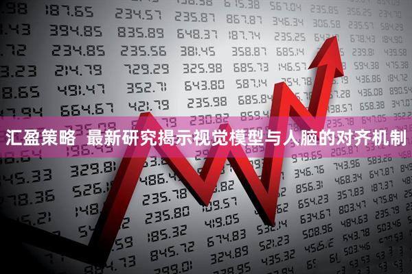 汇盈策略  最新研究揭示视觉模型与人脑的对齐机制