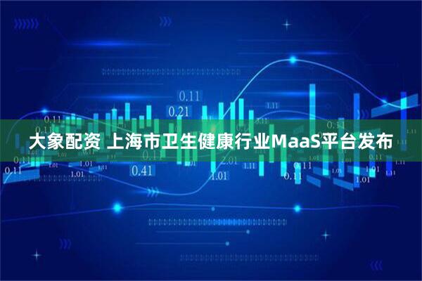 大象配资 上海市卫生健康行业MaaS平台发布