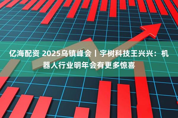 亿海配资 2025乌镇峰会丨宇树科技王兴兴：机器人行业明年会有更多惊喜