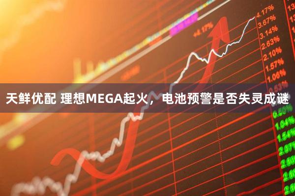天鲜优配 理想MEGA起火，电池预警是否失灵成谜